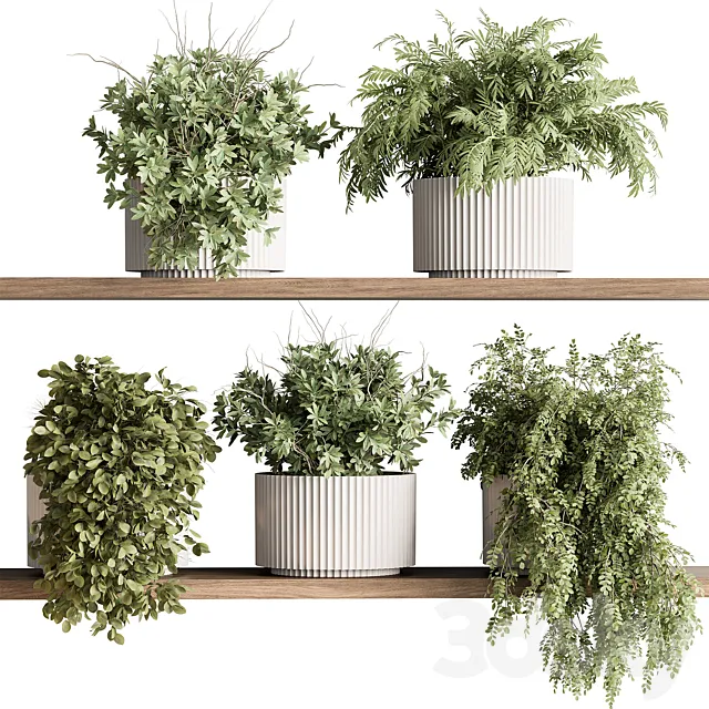 indoor Plant 599 – Hanging Plants 3D Model indoor Plant 599 – Hanging Plants 3D Model