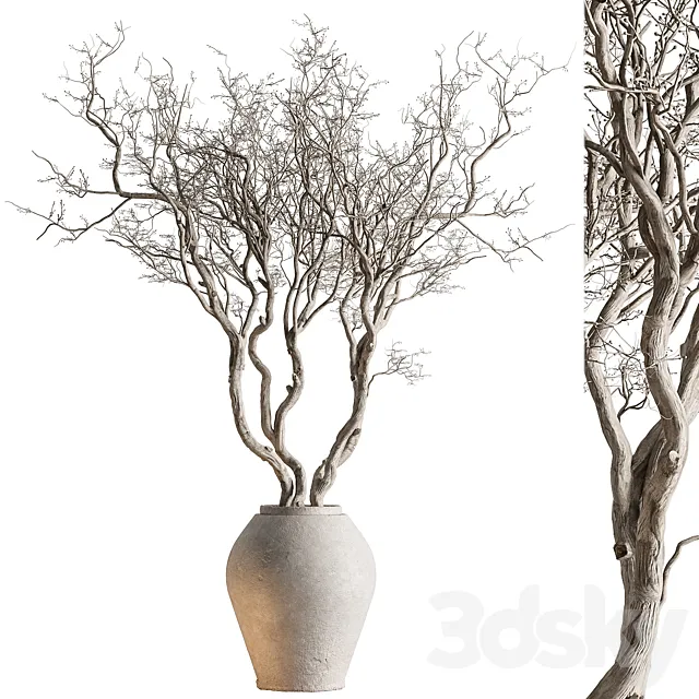 Indoor Plant 703 – Dry Tree 3D Model Indoor Plant 703 – Dry Tree 3D Model
