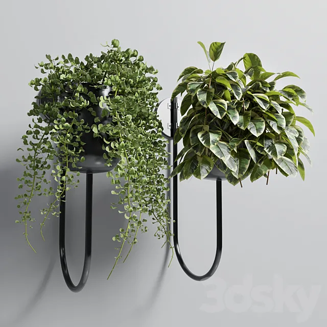 Indoor plant plant wall metal vase 01 3D Model Indoor plant plant wall metal vase 01 3D Model