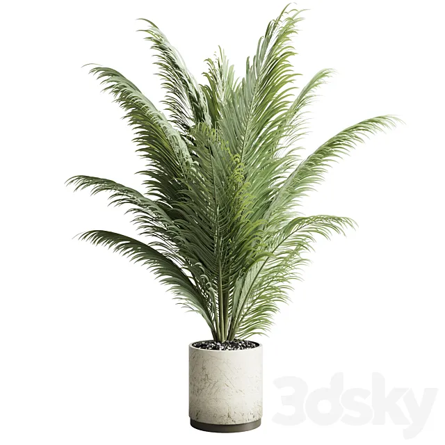 indoor plant pot palm concrete dirt vase 220 3DModel indoor plant pot palm concrete dirt vase 220 3DModel