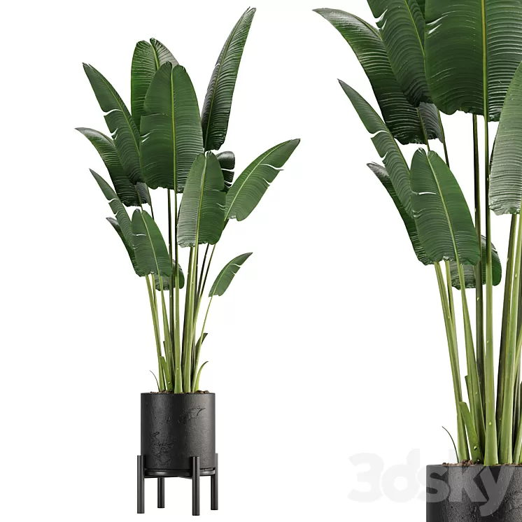 indoor plant set 01 3D Model