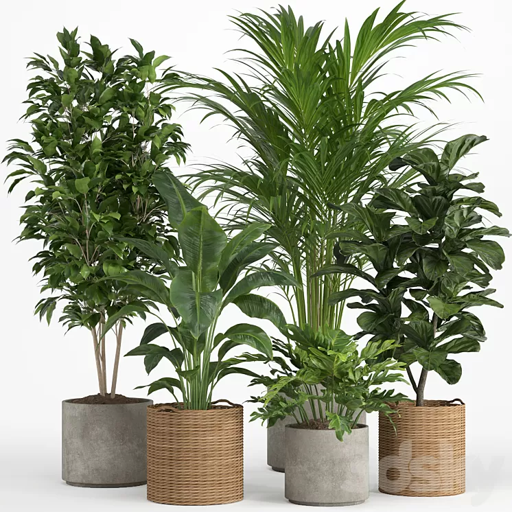 indoor plant set 014 3D Model - 3DSKY Decor Helper