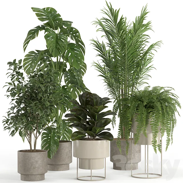 indoor plant set 021 3D Model indoor plant set 021 3D Model