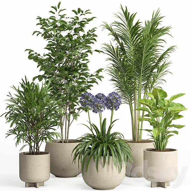 indoor plant set 026 3D Model indoor plant set 026 3D Model