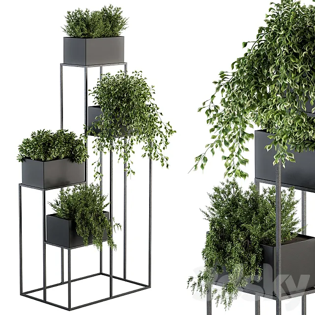 indoor Plant Set 100 – Black stand 3DModel