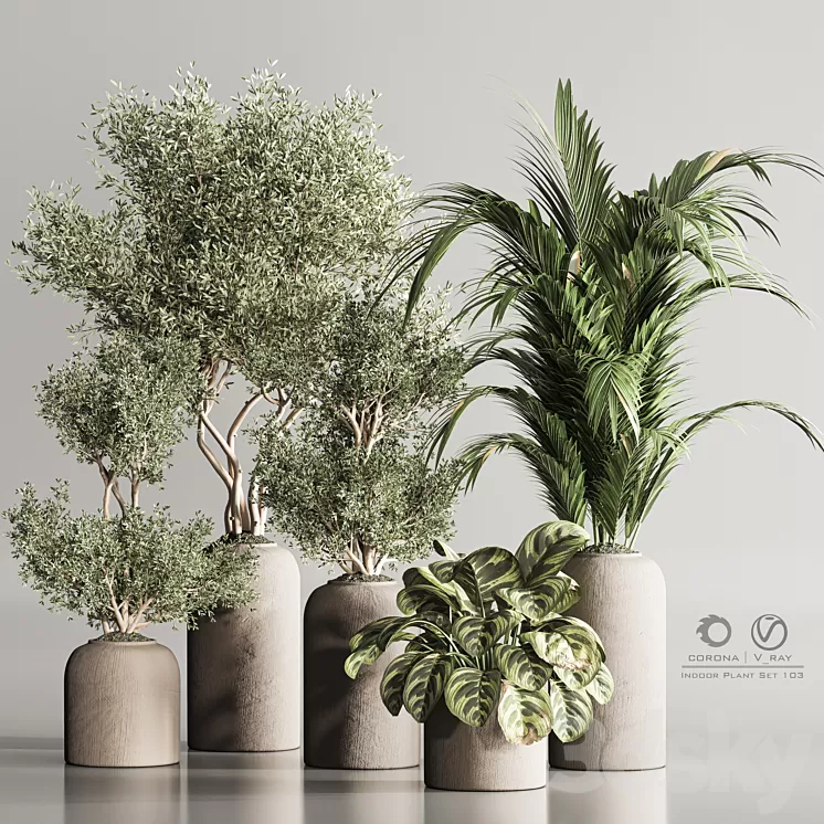 Indoor Plant Set 103 3D Model