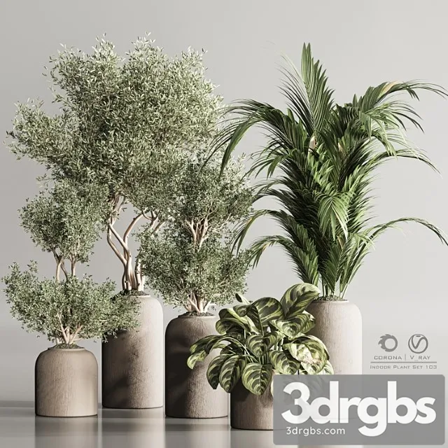 Indoor plant set 103 Indoor plant set 103