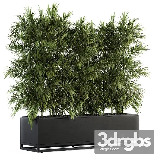 Indoor plant set 109 – palm in plant box Indoor plant set 109 – palm in plant box