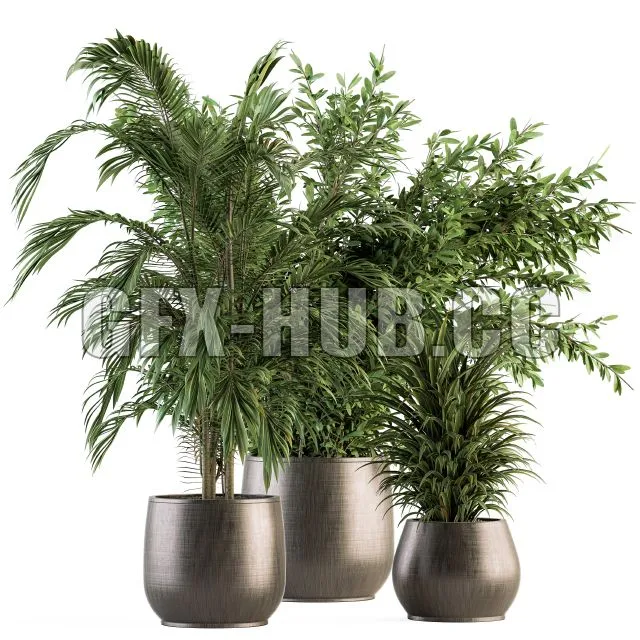indoor Plant Set 112 3D Model