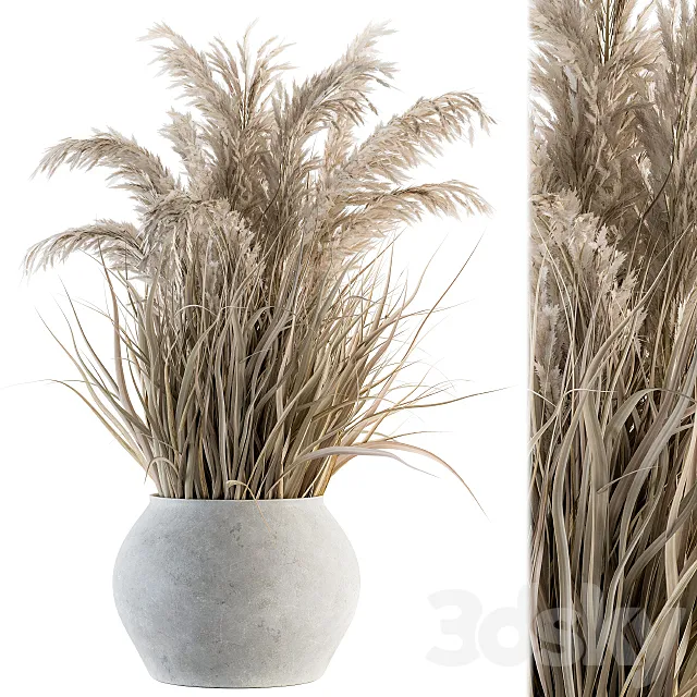indoor Plant Set 115 – Dried Plant 3D Model