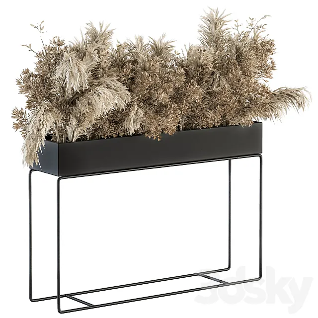 indoor Plant Set 117 – Dried Plant box 3D Model