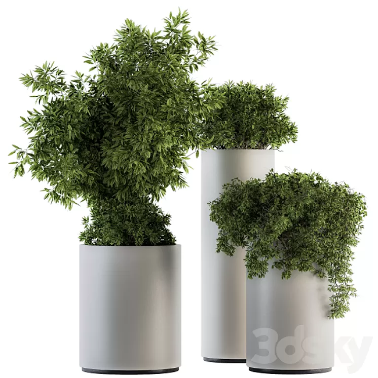 indoor Plant Set 120 – Green and White Set 3D Model indoor Plant Set 120 – Green and White Set 3D Model