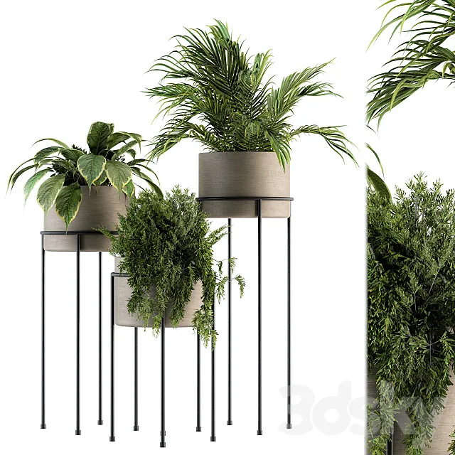 indoor Plant Set 129 – Plant Stand 3DModel
