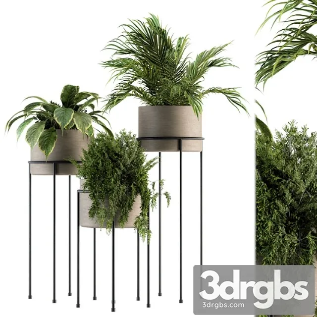 Indoor plant set 129 – plant stand