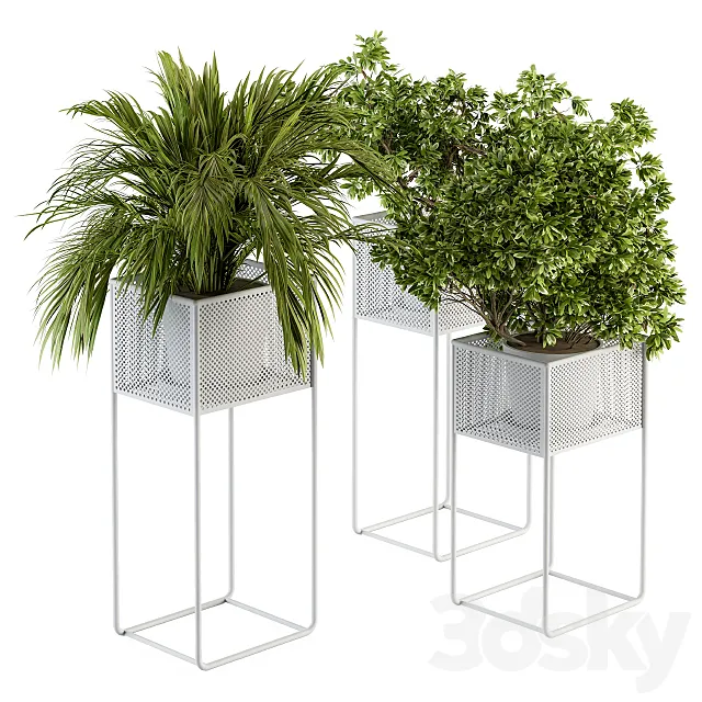 indoor Plant Set 174 – Plant in stand box 3DModel