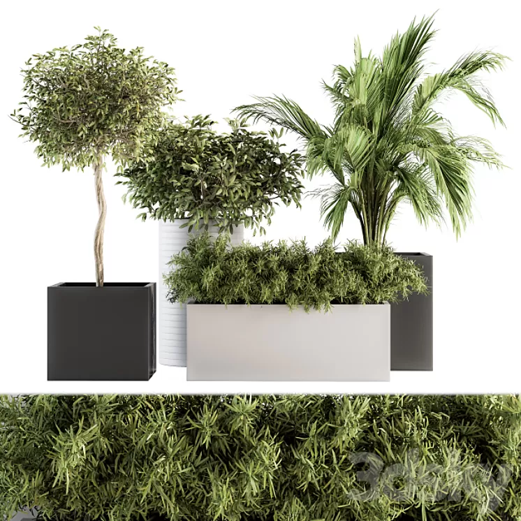 indoor Plant Set 188 – Plant Boxes 3D Model indoor Plant Set 188 – Plant Boxes 3D Model