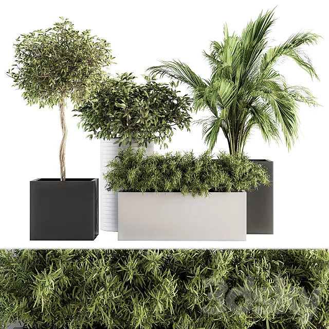 indoor Plant Set 188 – Plant Boxes 3DModel