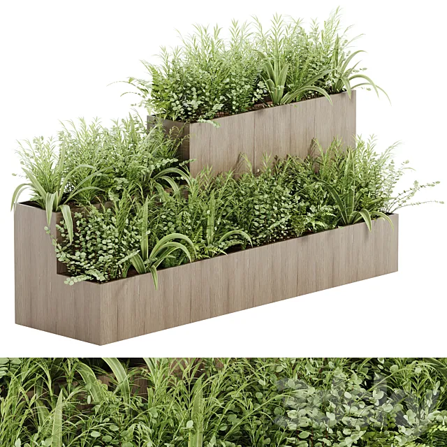 indoor plant Set 21 3DModel indoor plant Set 21 3DModel