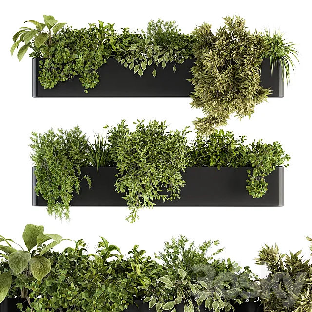 indoor Plant Set 210 – Hanging Plants 3D Model indoor Plant Set 210 – Hanging Plants 3D Model