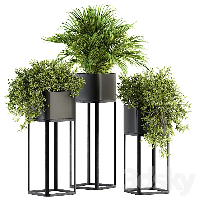 indoor Plant Set 211 – Plant Box Stand 3DModel