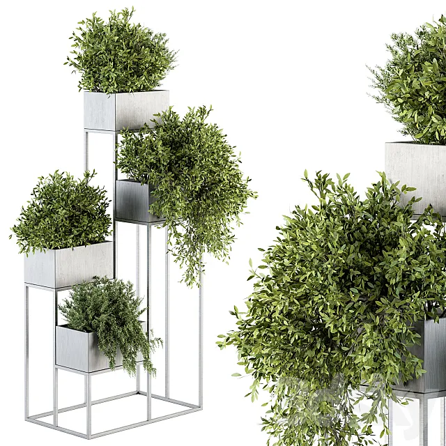 indoor Plant Set 213 – Silver Plant Stand 3DModel indoor Plant Set 213 – Silver Plant Stand 3DModel