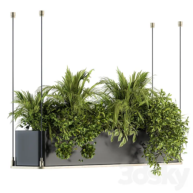 indoor Plant Set 218 – Hanging Plants 3D Model indoor Plant Set 218 – Hanging Plants 3D Model