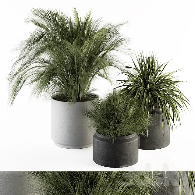 indoor Plant Set 223 – Plant Set in pot 3D Model indoor Plant Set 223 – Plant Set in pot 3D Model