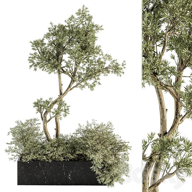 indoor Plant Set 226 – Plant in Marble Box 3D Model indoor Plant Set 226 – Plant in Marble Box 3D Model