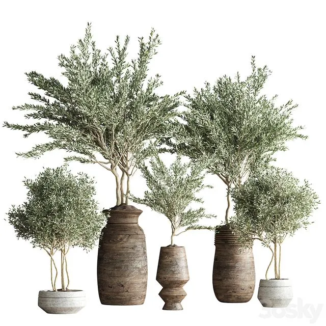 indoor plant set 23 3D Model