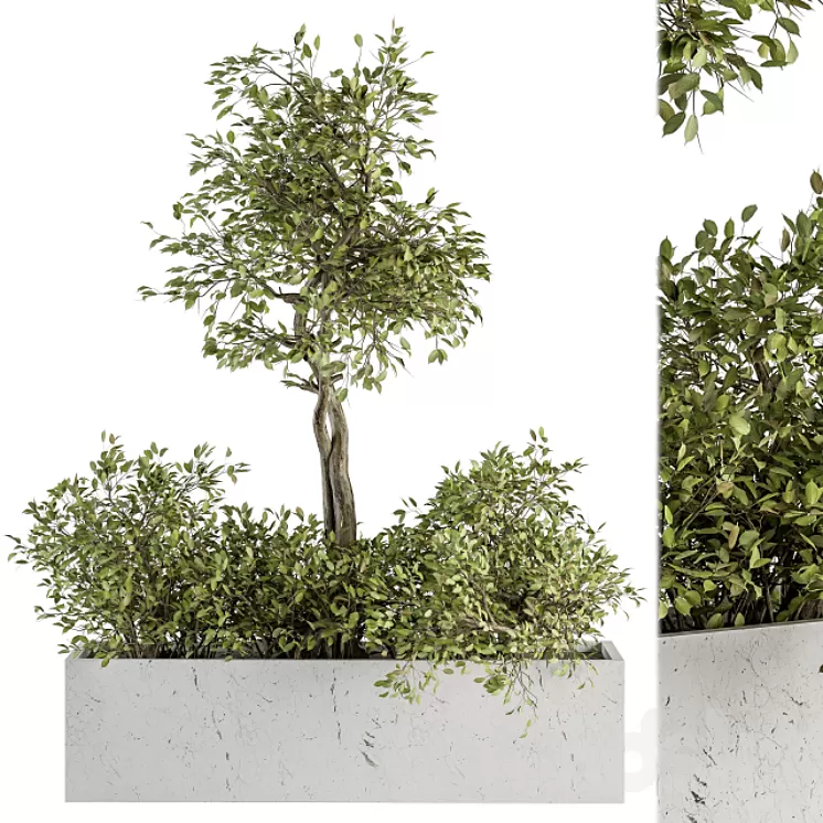 indoor Plant Set 235 – Plant Set in Box 3D Model
