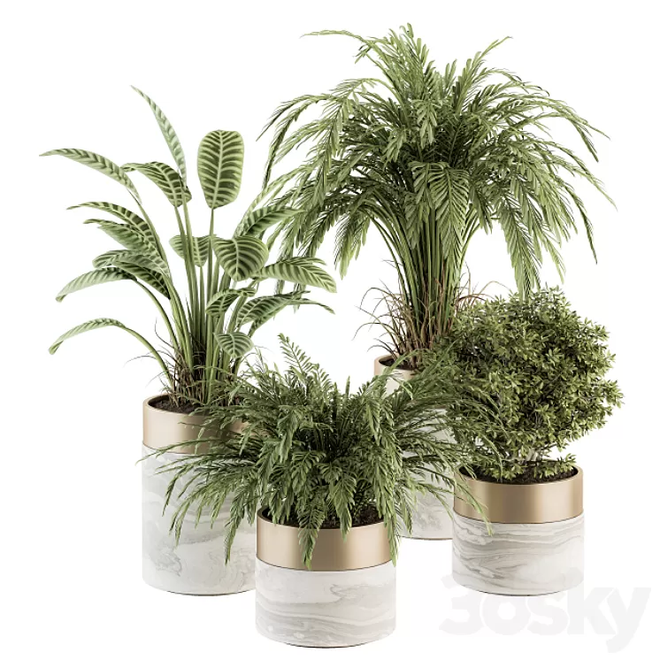 indoor Plant Set 245 – Plant Set in pot 3D Model