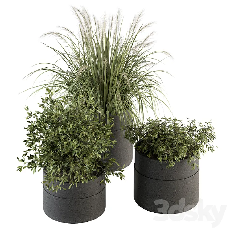 indoor Plant Set 250 – Plants Set in Pot 3D Model Free Download