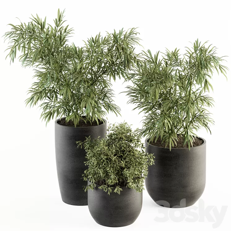 indoor Plant Set 253 – Plants Set in pot 3D Model