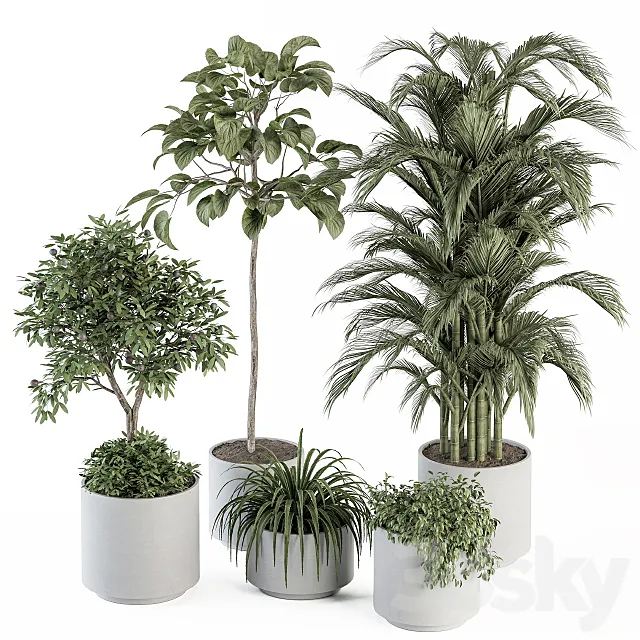 indoor Plant Set 257 – Plant Set in pot 3D Model