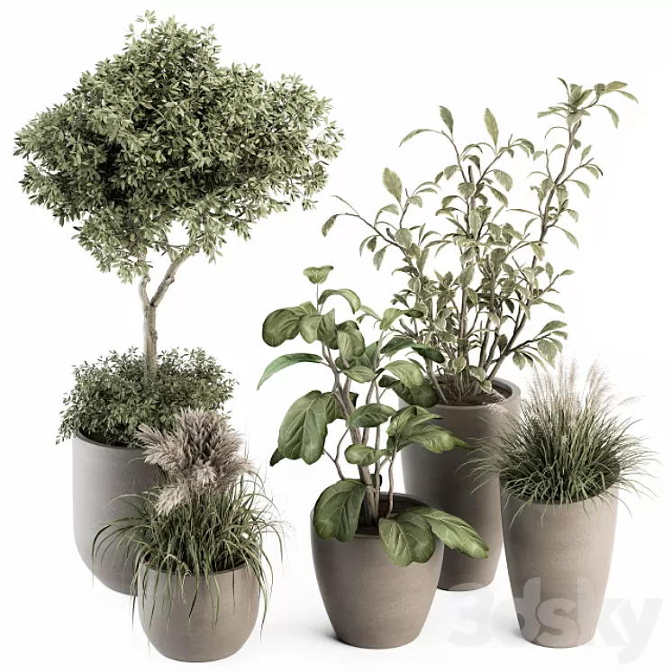 indoor Plant Set 264 – Plant Set in pot 3D Model