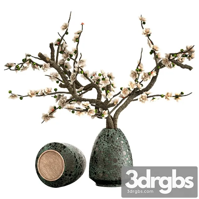 Indoor plant set 28 Indoor plant set 28