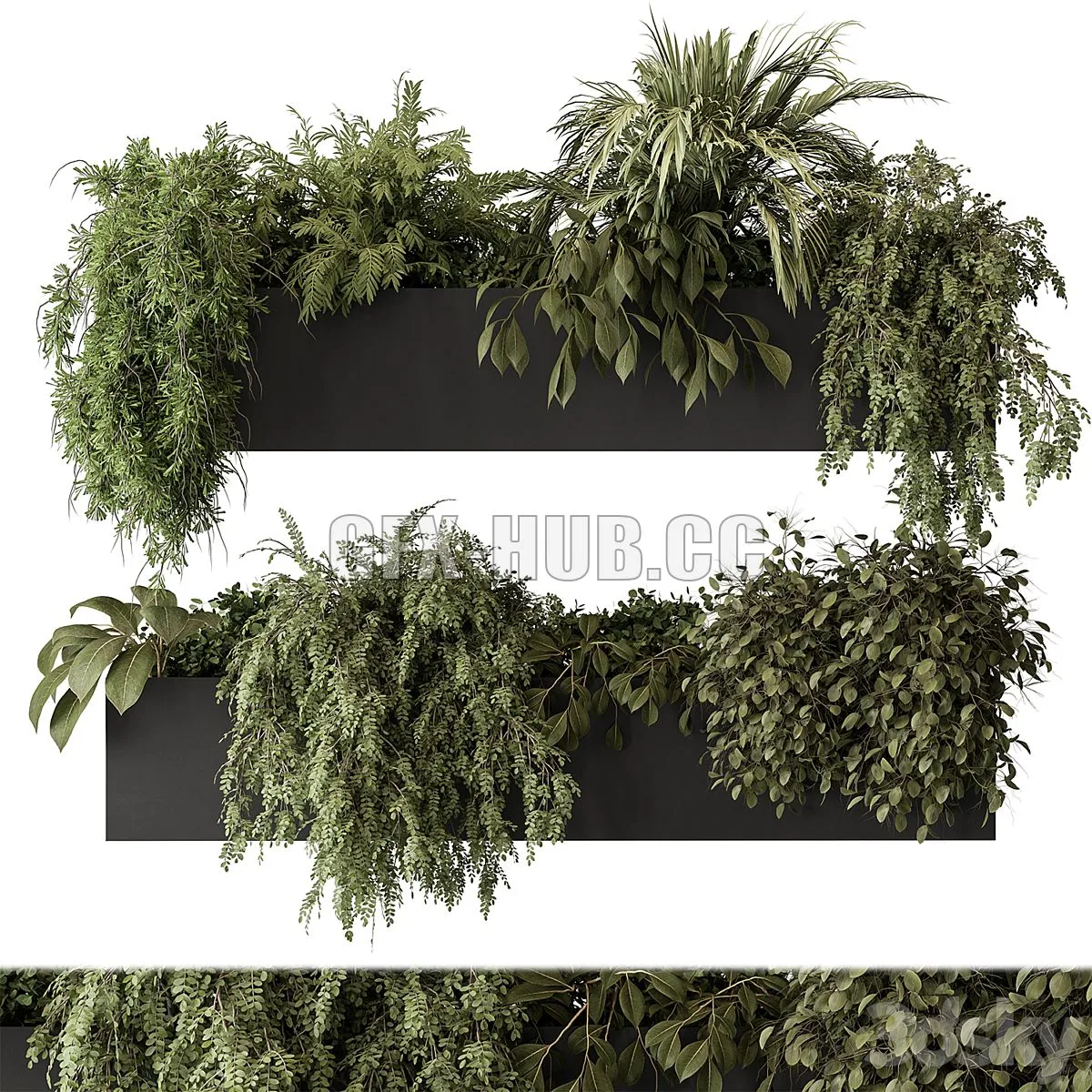 indoor Plant Set 297 – Hanging Plants 3D Model indoor Plant Set 297 – Hanging Plants 3D Model