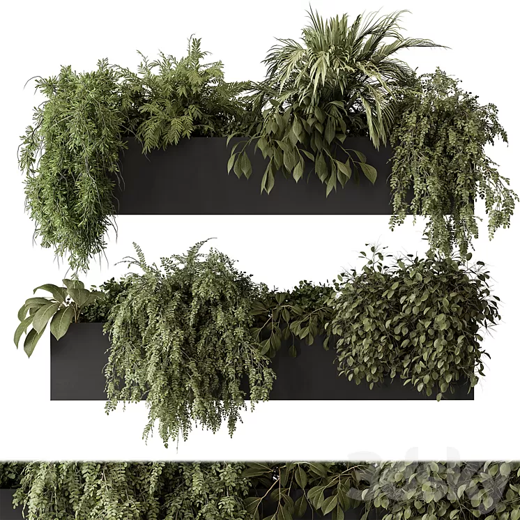 indoor Plant Set 297 – Hanging Plants 3D Model