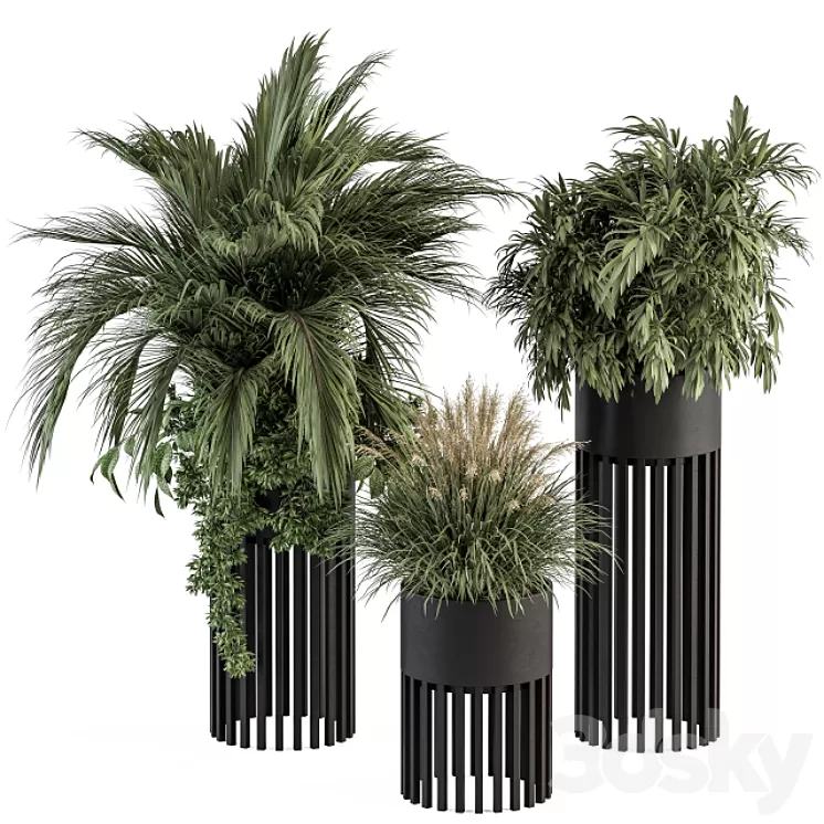 indoor Plant Set 301 – Plant Set in Round Stand Black pot 3D Model