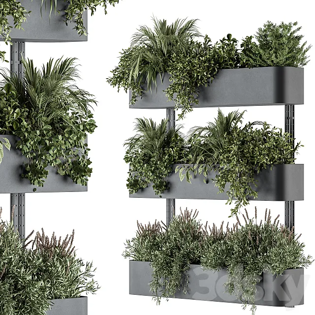 Indoor Plant Set 306 – Box Stand with Hanging Plants 3DModel Indoor Plant Set 306 – Box Stand with Hanging Plants 3DModel
