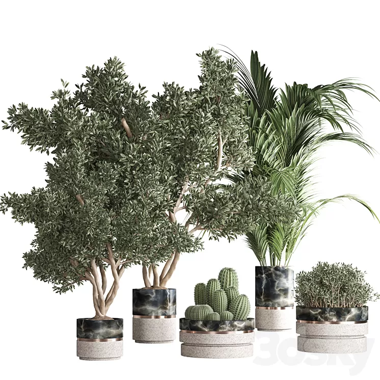 indoor plant set 31 3D Model