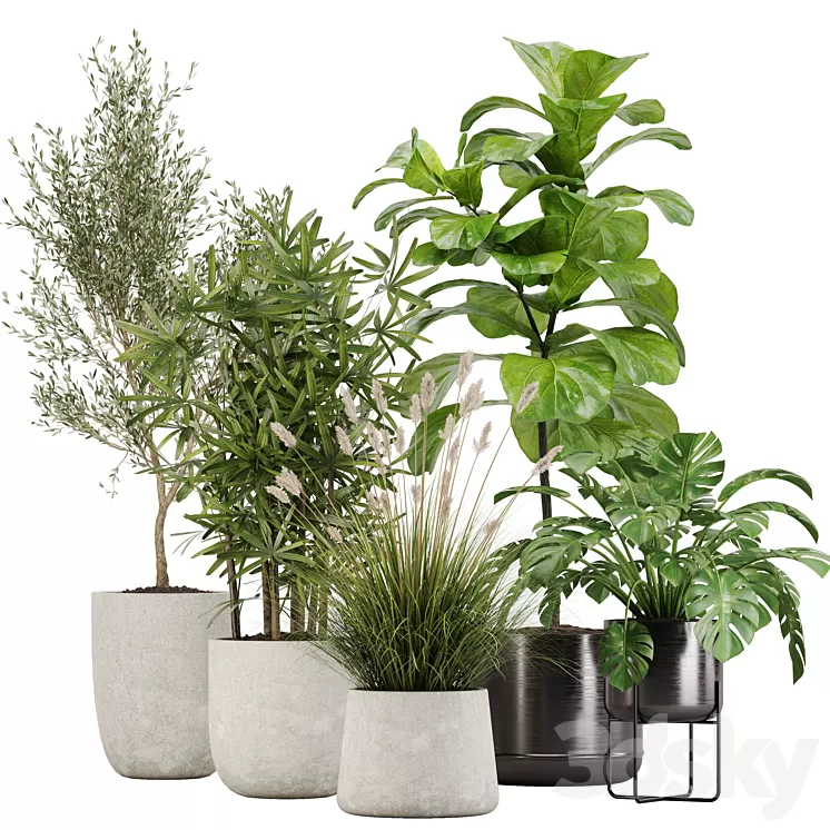 indoor plant set 32 3D Model