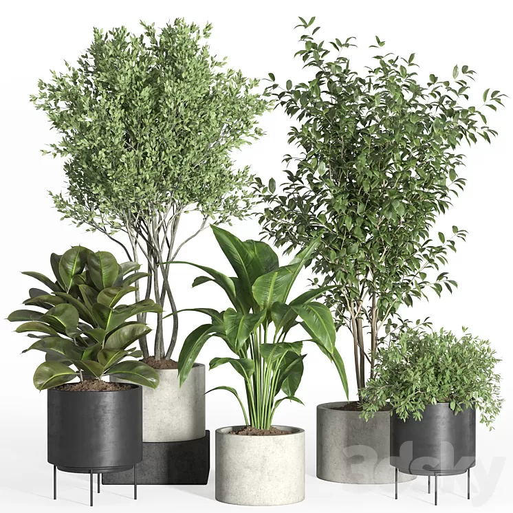 indoor plant set 35-concrete and metal pot 3D Model Free Download indoor plant set 35-concrete and metal pot 3D Model Free Download
