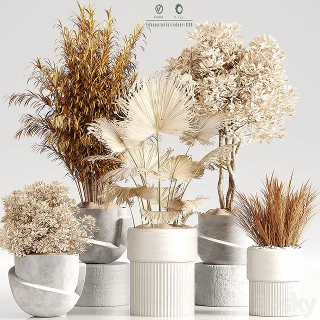 Indoor Plant Set 35 Dry Plants 3D Model