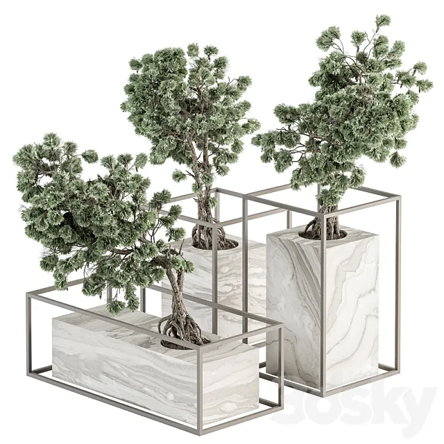 indoor Plant Set 358 – Bonsai Set Plant in pot 3DModel