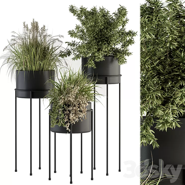 indoor Plant Set 370 – Tree and Plant Set Stand pot 3D Model Free Download