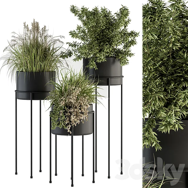 indoor Plant Set 370 – Tree and Plant Set Stand pot 3D Model indoor Plant Set 370 – Tree and Plant Set Stand pot 3D Model