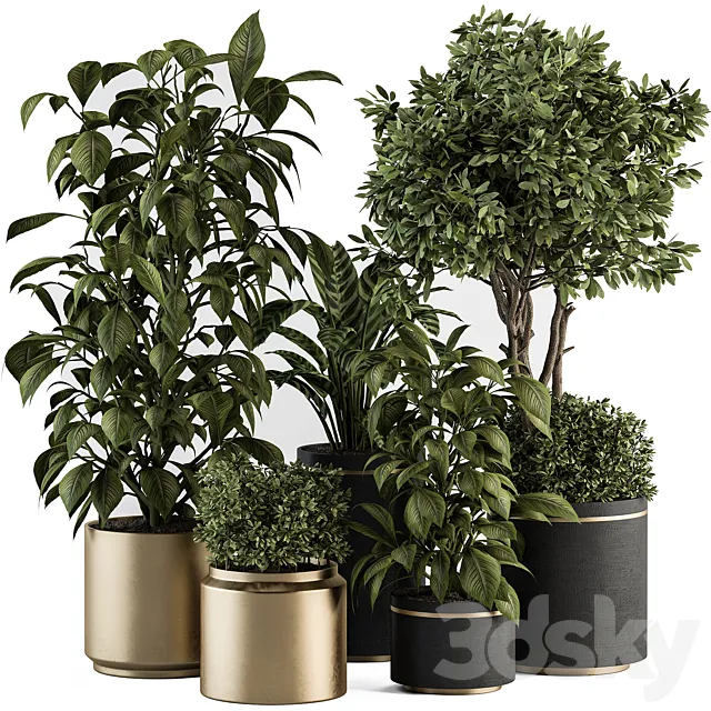 indoor Plant Set 378- Tree and Plant Set in pot 3D Model indoor Plant Set 378- Tree and Plant Set in pot 3D Model