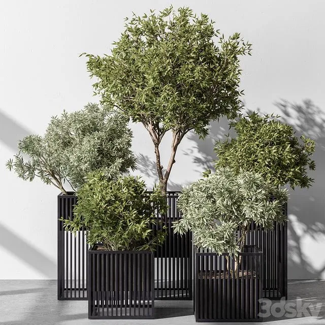 Indoor plant set 380- Set of potted trees and plants 3D Model Indoor plant set 380- Set of potted trees and plants 3D Model