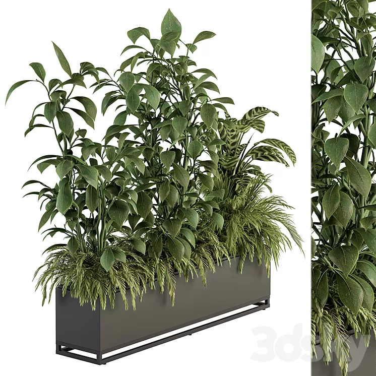 indoor Plant Set 383 – Plant Set in Box 3D Model